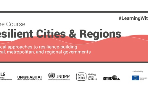 Product image for Resilient Cities & Regions