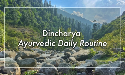 Product image for Dincharya – Ayurvedic Daily Routine