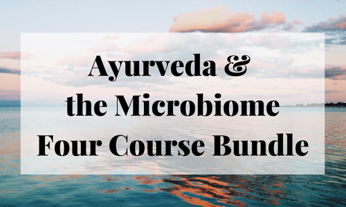 Product image for Ayurveda & The Microbiome Bundle