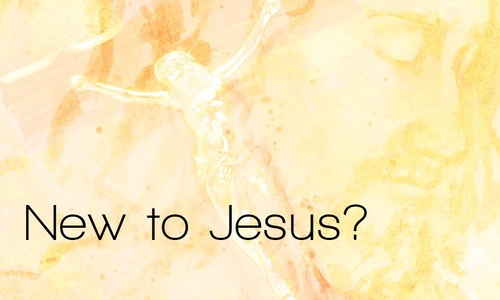 Product image for New To Jesus?