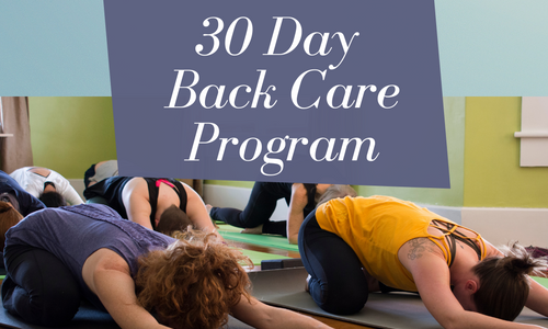 Product image for 30 Day Back Care Program