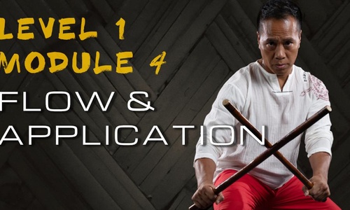 Product image for 2020 Virtual Level 1 Module 4: Flow & Application