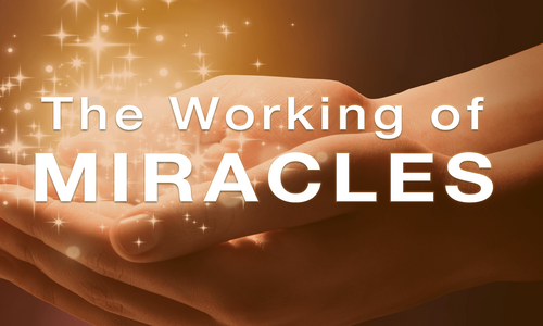 Product image for The Working of Miracles!