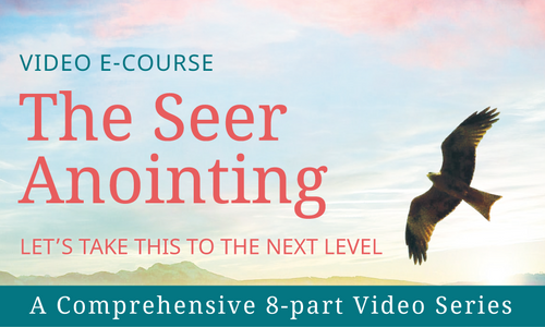 Product image for The Seer Anointing - Let’s Take This To The Next Level