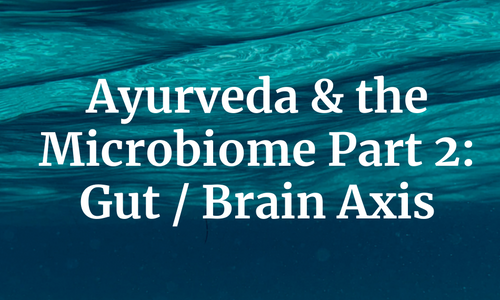 Product image for Ayurveda & the Microbiome Part II: Gut/Brain Axis