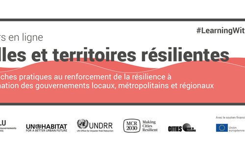 Product image for Villes et territoires résilients