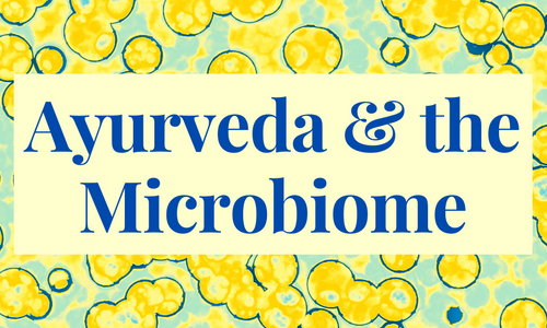 Product image for Ayurveda & the Microbiome