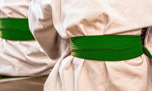 Product image for Green Belt