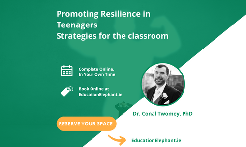 Product image for Resilience Roadmap: Guiding Teenagers through Classroom Challenges
