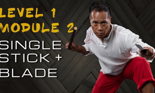 Product image for 2020 Virtual Level 1 Module 2: Single Stick + Blade