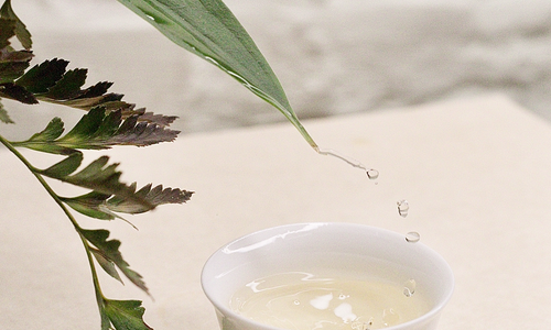 Product image for Tea and Meditation