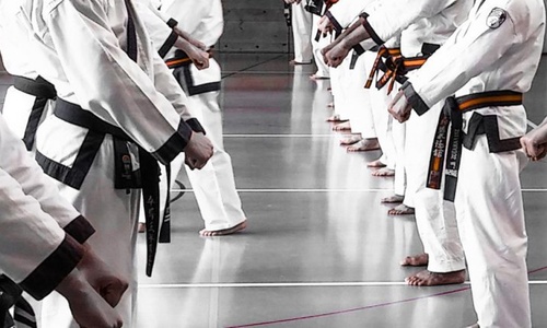 Product image for Live Weekly Martial Arts Classes