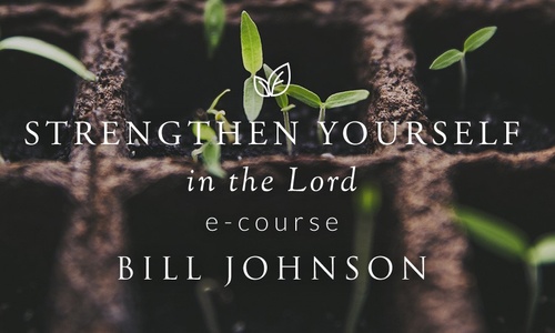 Product image for Strengthen Yourself in the Lord