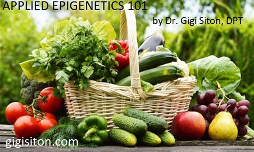 Product image for Applied Epigenetics 101