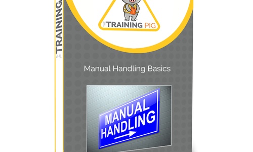 Product image for Manual Handling Basics