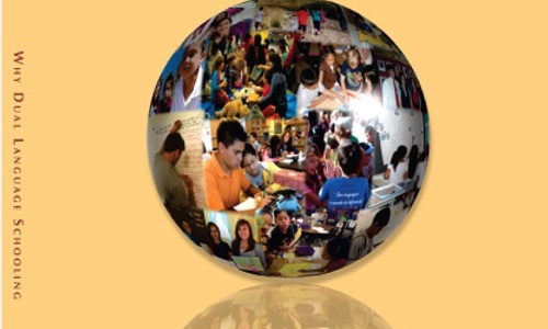 Product image for Why Dual Language Schooling