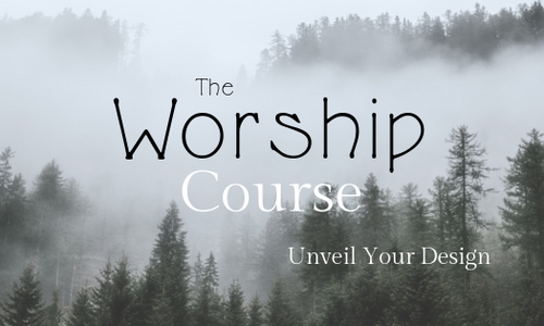 Product image for The Worship Course