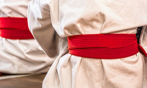 Product image for Red Belt