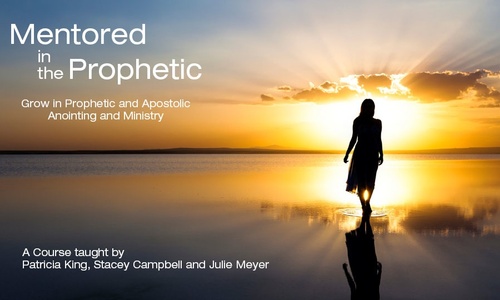 Product image for Mentored in the Prophetic