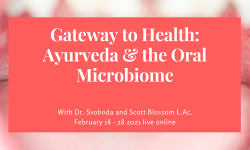 Product image for Gateway to Health: Ayurveda & the Oral Microbiome