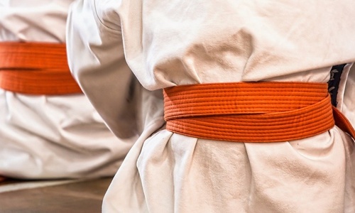 Product image for White and Orange Belt