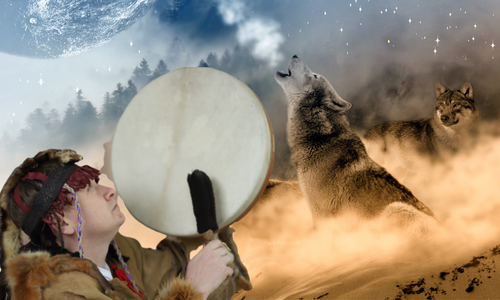Product image for 12 Totems and 7 Shamanic medicine.