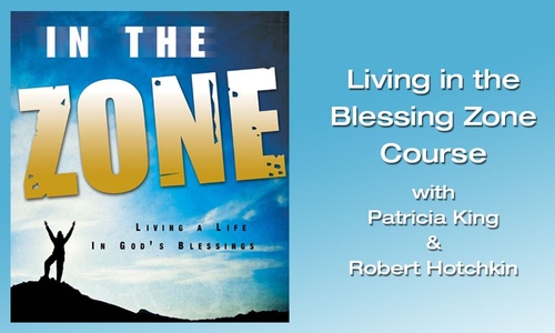 Product image for Living in the Blessing Zone