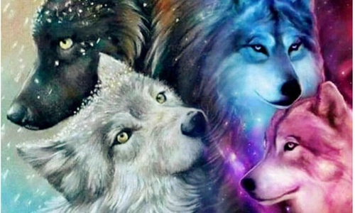 Product image for 4 Wolves Ritual