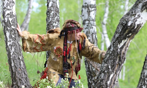 Product image for How to become Shaman-Healer!