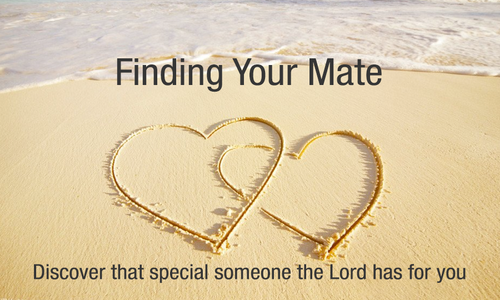 Product image for Finding Your Mate