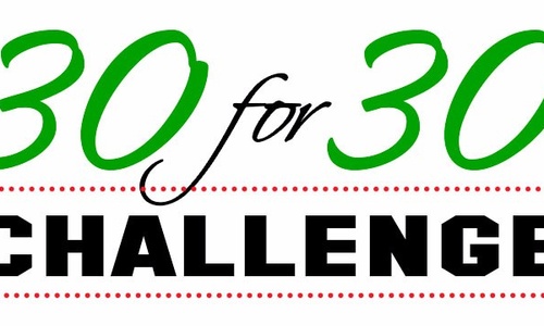 Product image for The 30 for 30 Small Business Challenge