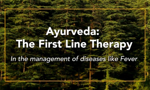Product image for Ayurveda: The First Line Therapy