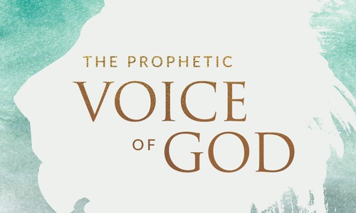 Product image for The Prophetic Voice of God - Lana Vawser