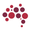 Vineyard Churches Australia