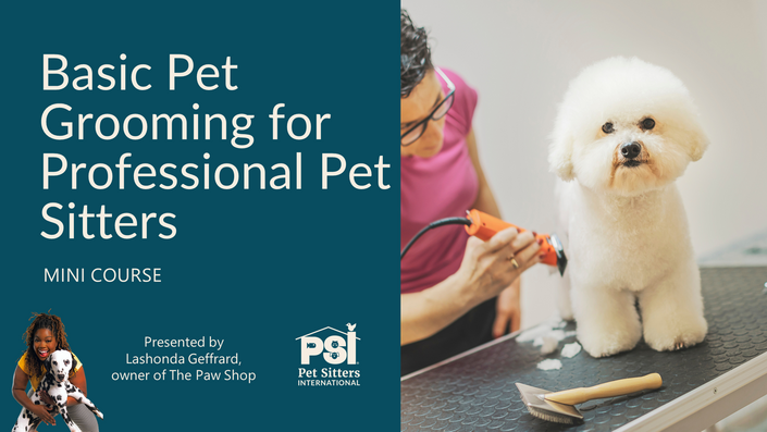 Professional pet store sitters near me