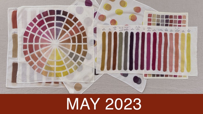 2023 - Natural Dyeing: A Heritage of Colour - V&A Academy Course