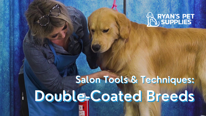 Salon Tools Techniques Double Coated Breeds Leading Edge Grooming