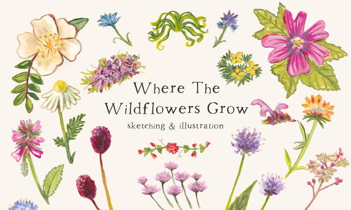 Where the Wildflowers Grow