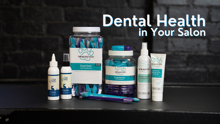 Dental Health in Your Salon  Leading Edge Grooming Academy