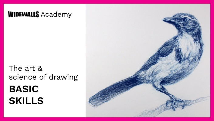 How to Draw from Beginner to Master