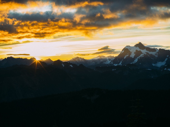 Wilderness Medicine Online