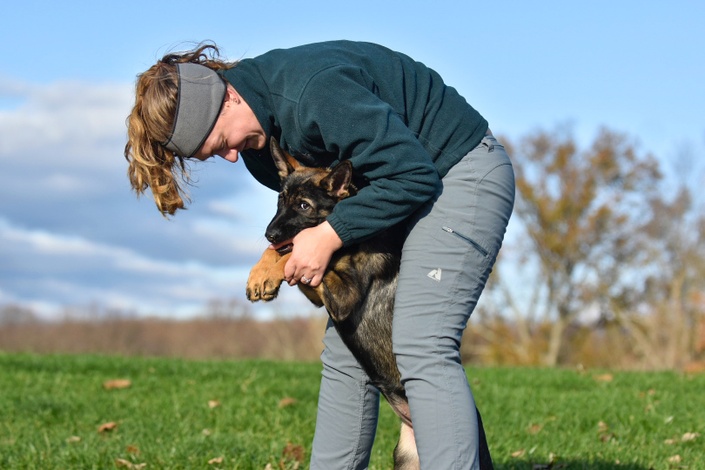 The Puppy Playbook: Raising a Happy and Well-Adjusted Puppy