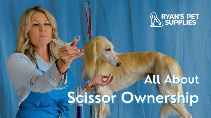 All About Scissor Ownership Leading Edge Grooming Academy