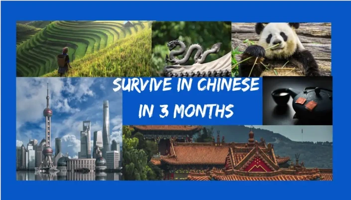 Survive in Chinese in 3 Months: Part 1