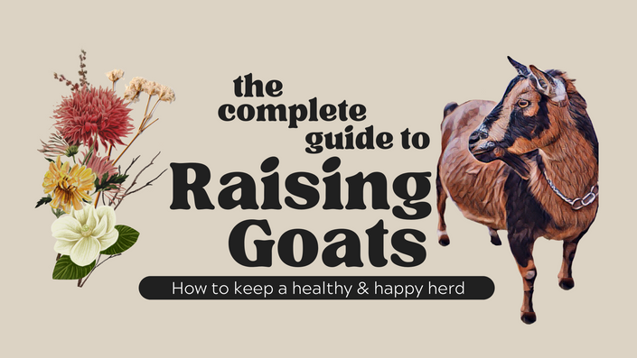 The Complete Guide to Raising Goats DaNelle Wolford s Courses