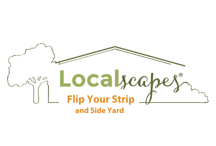 flip-your-strip-and-side-yard-utah-water-savers-landscape-incentive