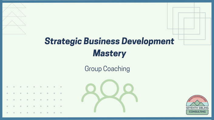 Strategic Business Development Mentorship
