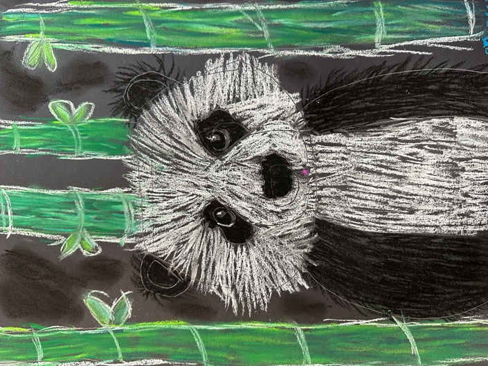 Panda ~ Chalk pastels on black