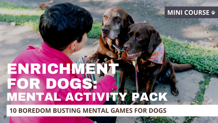 Enrichment for Dogs - Wear Wag Repeat