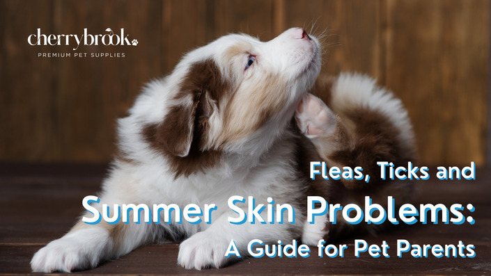 Fleas Ticks Summer Skin Problems A Guide for Pet Parents Leadin